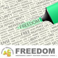 Freedom N15