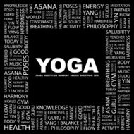 Yoga N13
