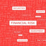 FINANCIAL RISK N2