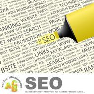 SEO N12