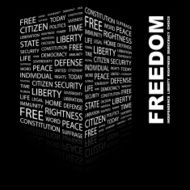 Freedom N16