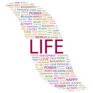 life N8