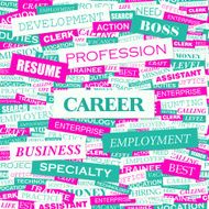 Career N2