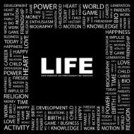 life N10