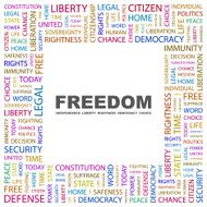 Freedom N17