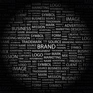 brand N6