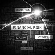 FINANCIAL RISK N3