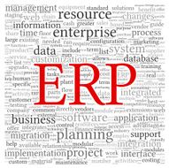 ERP in word tag cloud N4