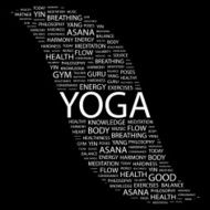 Yoga N14