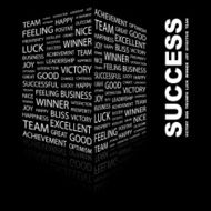 Success N52