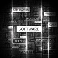 software N8