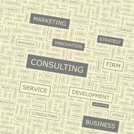 CONSULTING N17