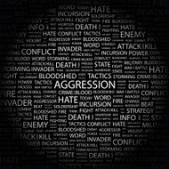 Aggression N3