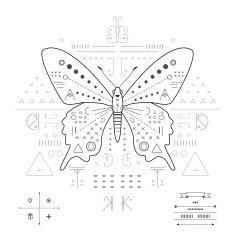 Butterfly Geometric composition on a white background N2