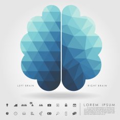 brain on concept pattern and free form geometry