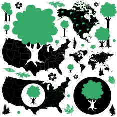 North American forests infographic design elements