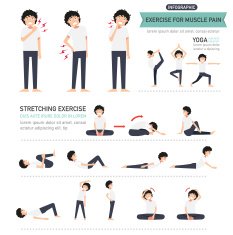 exercise for muscle pain infographic