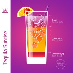 Tequila Sunrise Cocktail N4