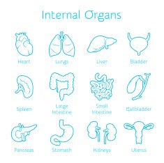 Set of contour icons with human orangs