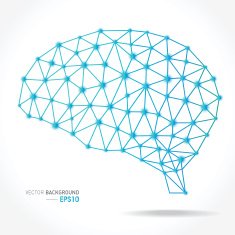 Brain Polygonal Concept N3