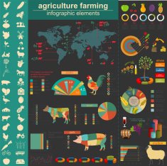 Agriculture infographics N4