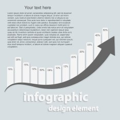 Abstract infographic Design elements Vector illustration N10