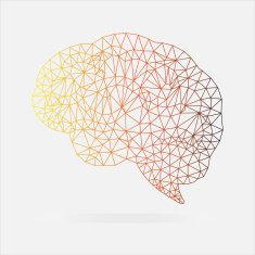 Brain Polygonal vector N5
