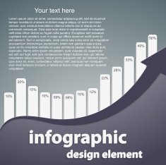 Infographic design template Vector illustration N77
