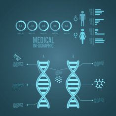 medical infographics N29