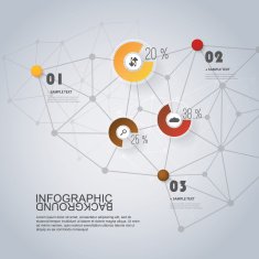 Infographic Design with Pie Charts - Networks