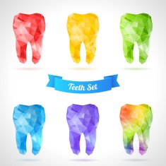 Polygonal vector set of teeth