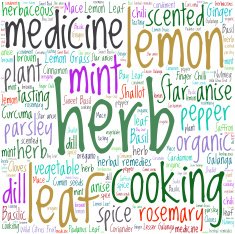 herb tag word cloud background