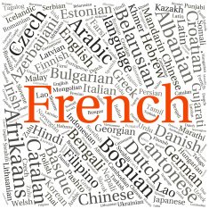 language in the World related word cloud background
