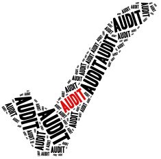 Audit or corporate controlling concept N2