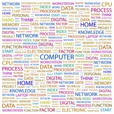 Computer N20