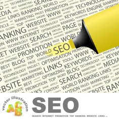 SEO N12