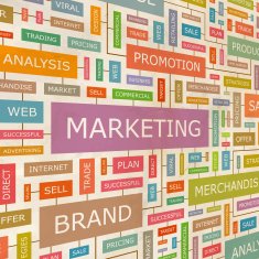 marketing N14