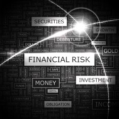 FINANCIAL RISK N3