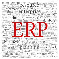 ERP in word tag cloud N4