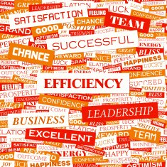 EFFICIENCY N2