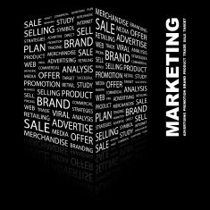 marketing N16