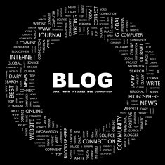 blog N11