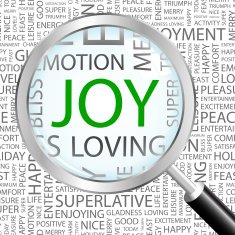 Joy N11