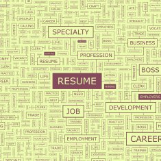 RESUME N2