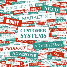 CUSTOMER SYSTEMS