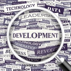 Development N8