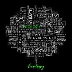 Ecology N17