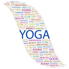 Yoga N18