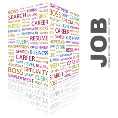 JOB N13