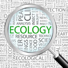 Ecology N19